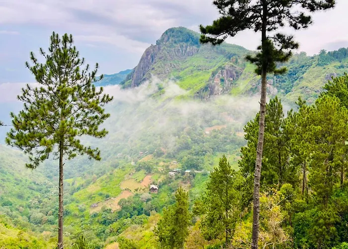 Belmount Ella